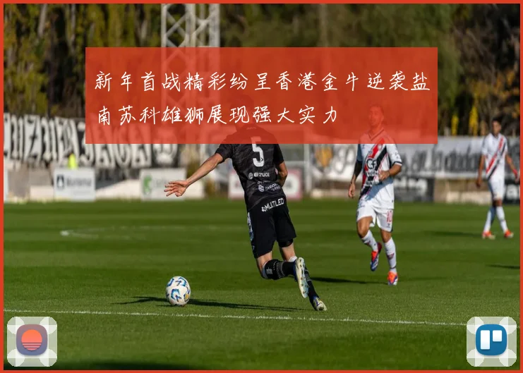 新年首战精彩纷呈香港金牛逆袭盐南苏科雄狮展现强大实力