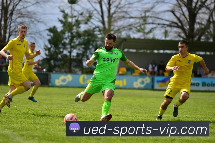 ued体育服务体系